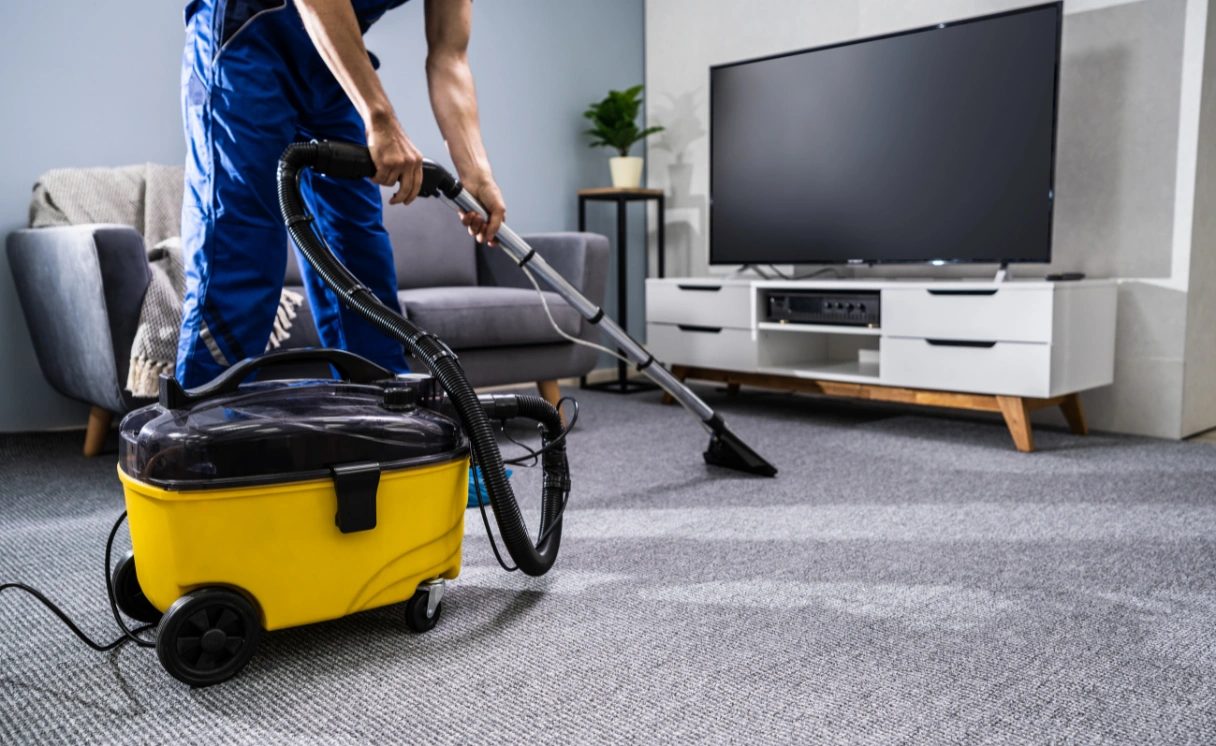 Extract Carpet Cleaning Avalon Contact Office